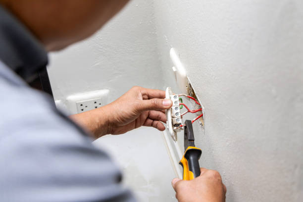 Best Electric Panel Repair  in Murfreesboro, NC